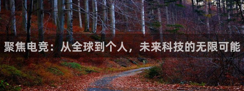 ky电竞：聚焦电竞：从全球到个人，未来科技的无限可能