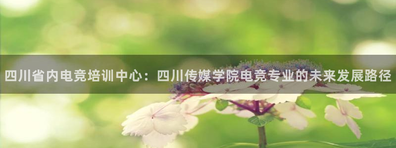 ky开元电竞：四川省内电竞培训中心：四川传媒学院电竞专业的未来发展路径