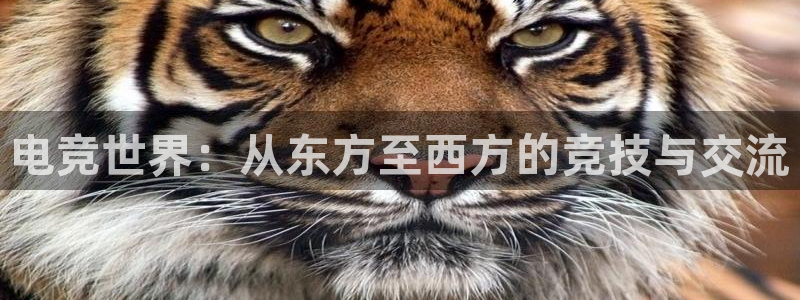ky开元电竞：电竞世界：从东方至西方的竞技与交流